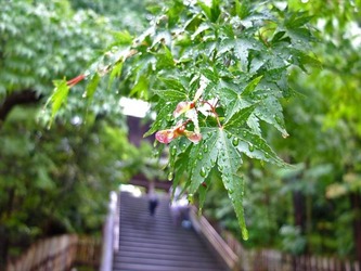 DSCF8214_R
