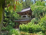 DSCF8309_R