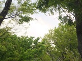 DSCF1471_R