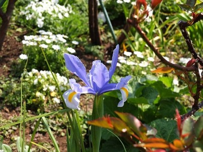 DSCF7913_R