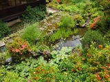DSCF8291_R