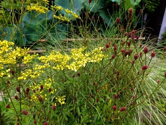 DSCF4491_R