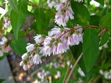 DSCF7788_R