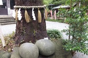 DSCF7036_R
