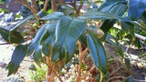 0920d97f.jpg