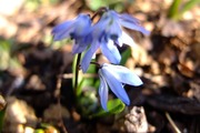 DSCF0137_R
