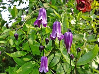 DSCF8168_R