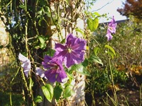DSCF6137_R