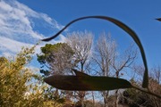 DSCF8952_R