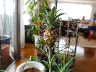DSCF4597_R