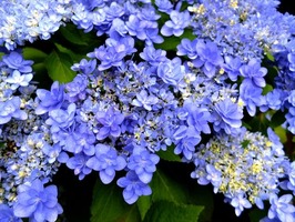 DSCF3062_R