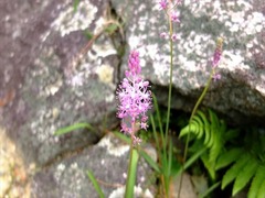 DSCF9496_R