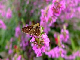 DSCF9059_R
