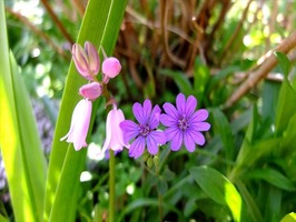 DSCF1850_R