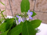 DSCF7818_R