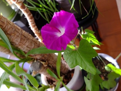 DSCF6393_R