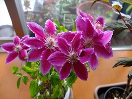 DSCF2013_R