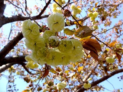 DSCF8503_R