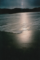 16955b9e.jpg