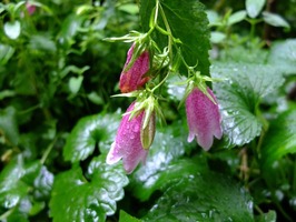 DSCF3570_R