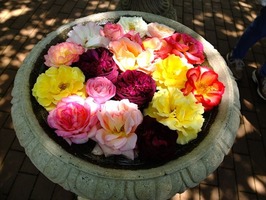 DSCF2440_R