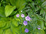 DSCF7401_R