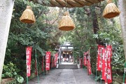 DSCF7029_R