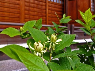 DSCF8221_R