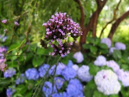 DSCF3603_R