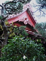 DSCF7349_R