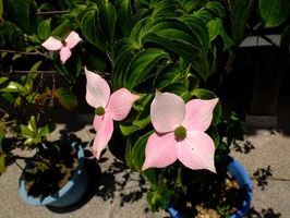 DSCF3016_R