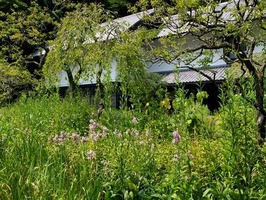 DSCF9222_R
