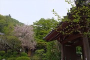 DSCF6881_R