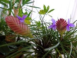 DSCF4199_R