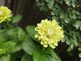 DSCF3418_R