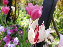 DSCF1921_R