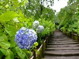 DSCF8278_R