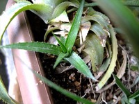 DSCF6072_R