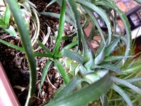 DSCF6071_R