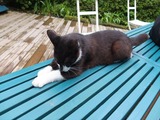 DSCF8268_R