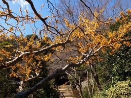 DSCF1192_R