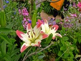 DSCF7303_R