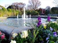 DSCF6109_R