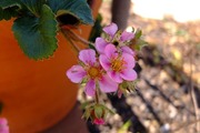 DSCF0099_R