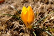 DSCF9618_R