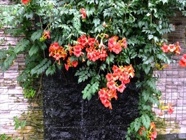 DSCF9001_R