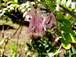 DSCF5300_R