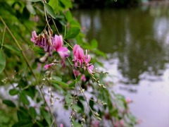 DSCF9394_R