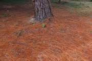 DSCF9481_R