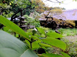 DSCF4454_R